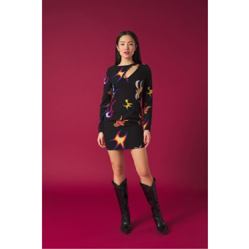 Robin dress1