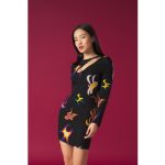 Robin dress3