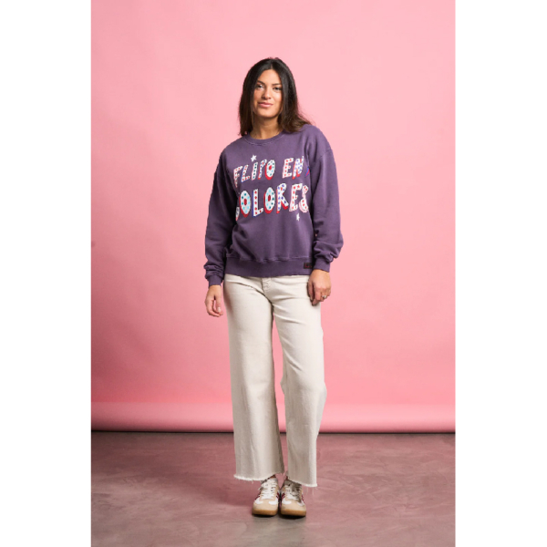 Sudadera Flipo en Colores3